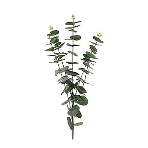 Kunsttak Eucalypthus Groen