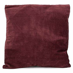 Kussen velvet rood