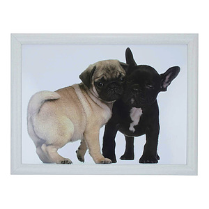 Laptray Mopshond en Franse bulldog