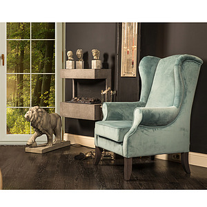 Oorfauteuil Zeewolde