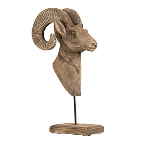 Ornament Ram hoofd hout