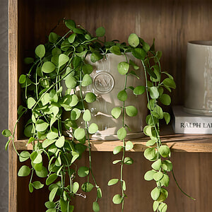 Riviera Maison Portofino Bloempot L