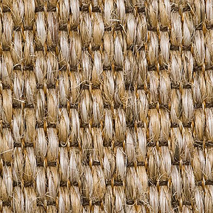 Safari