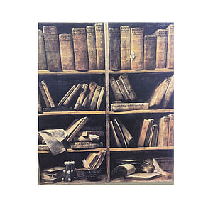 VDB canvas doek Boekenkast