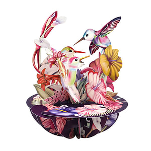 Wenskaart 3D Hummingsbirds Blush