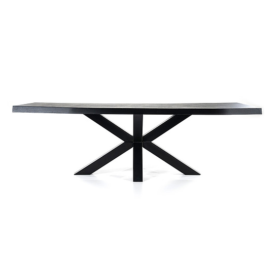 Boomstam tafel met spinpoot 240x100cm zwart 1