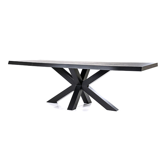 Boomstam tafel met spinpoot 240x100cm zwart 2