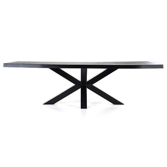 Boomstam tafel met spinpoot 300x100cm zwart 1