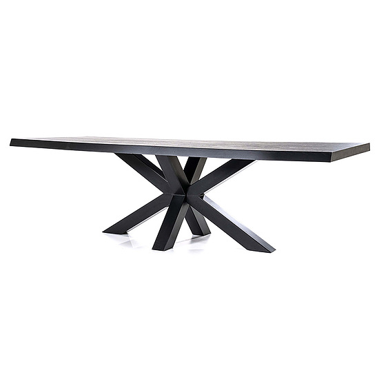 Boomstam tafel met spinpoot 300x100cm zwart 2