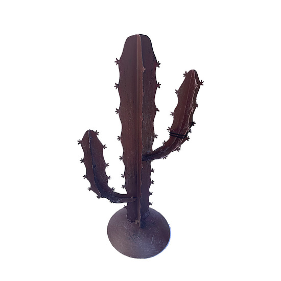 Cactus bruin M 1