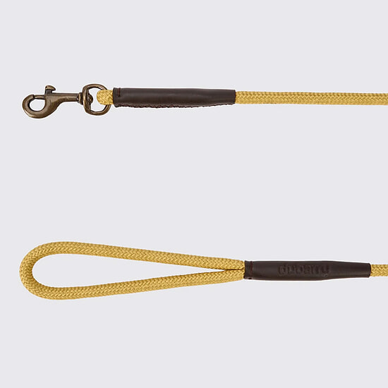 Afbeelding Charlie Hondenriem Gold 2 van Dubarry