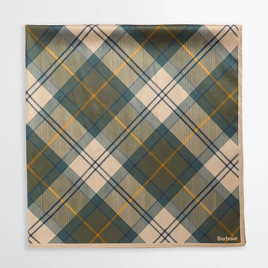 Afbeelding Dames Sjaal Kinsale Ancient Tartan  3 van Barbour