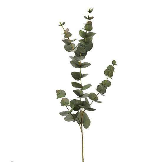 Eucalyptus green 131014 1