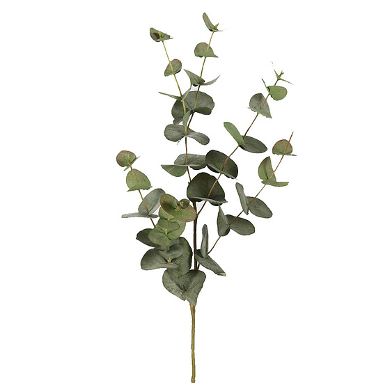 Eucalyptus green 131125 1