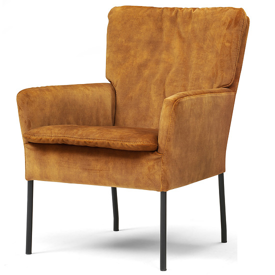 Fauteuil Hulst 1
