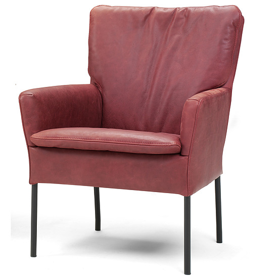 Fauteuil Hulst 4
