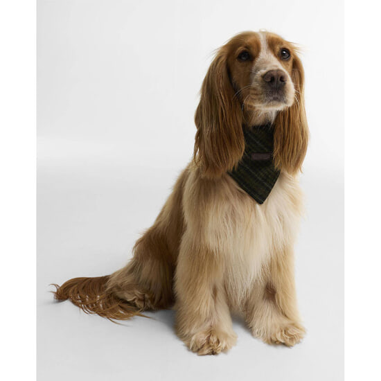 Honden Bandana Wilkin Olive