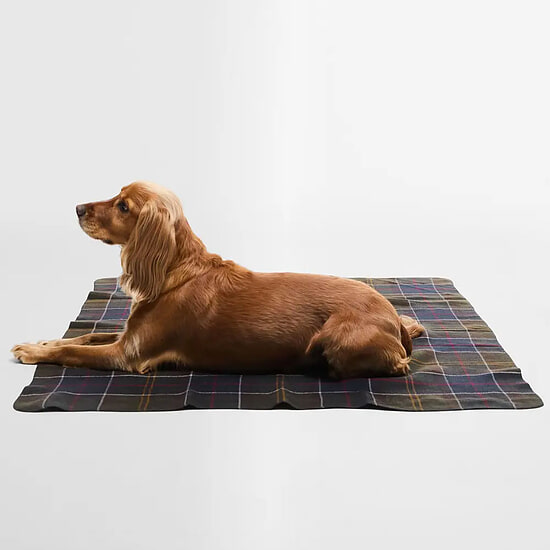Afbeelding Honden Deken Classic Tartan 2