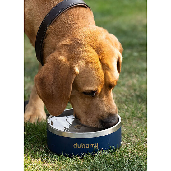 Afbeelding Honden drinkbak Archie M 4 van Dubarry