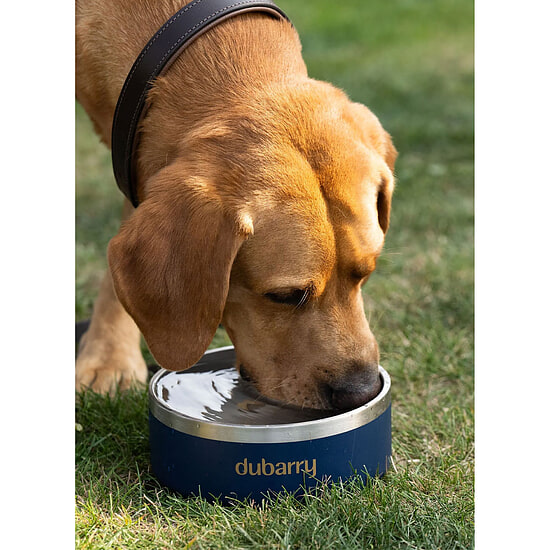 Afbeelding Honden drinkbak Archie S  2 van Dubarry
