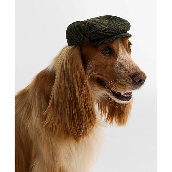 Honden flat Cap Wilkin Olive Check