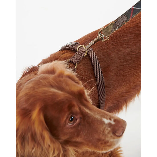 Afbeelding Honden harnas Travel & Exercise classic tartan 4