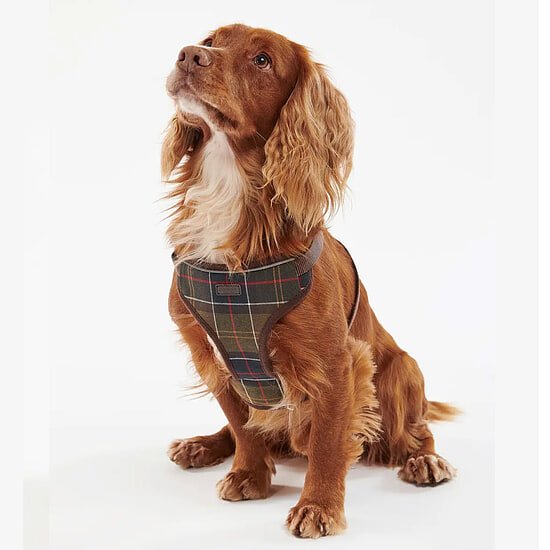 Afbeelding Honden harnas Travel & Exercise classic tartan 2