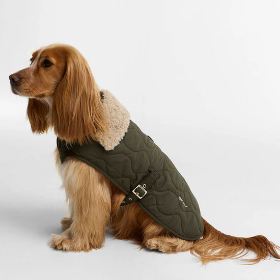Honden jasje Quilt Beith Olive