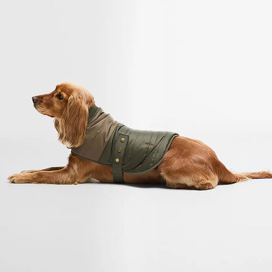 Afbeelding Honden Quilt Brampton Olive/ Khaki 2