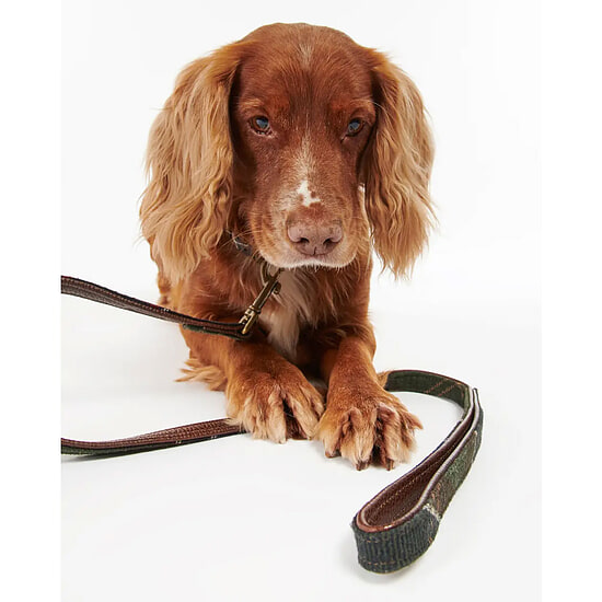 Honden Riem Classic Tartan