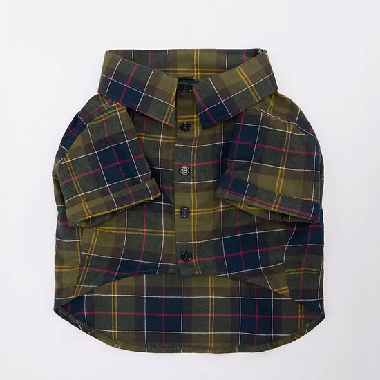 Afbeelding Honden Shirt Fortrose Classic Tartan 4