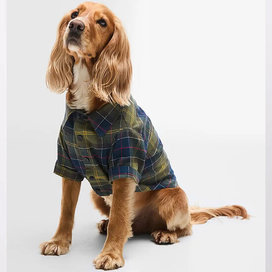Afbeelding Honden Shirt Fortrose Classic Tartan 2