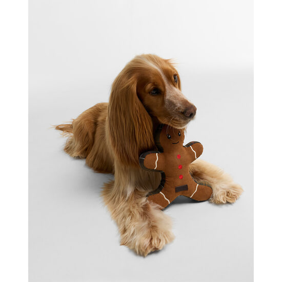 Honden speeltje Christmas Gingerbread Brown