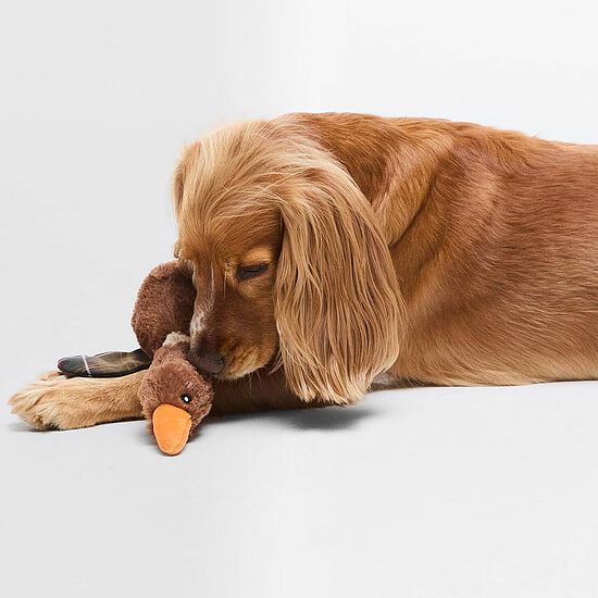 Afbeelding Honden Speeltje Flying Duck 2