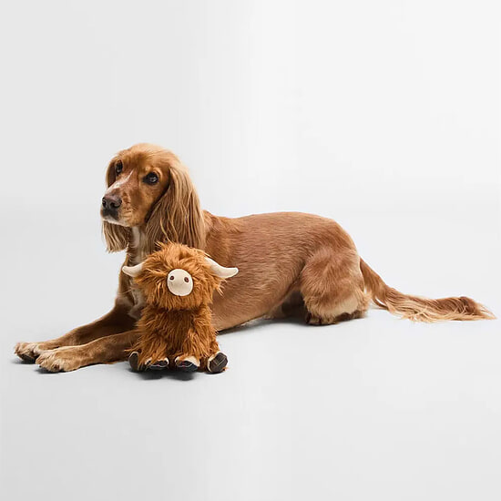 Afbeelding Honden Speeltje Hooglander 4