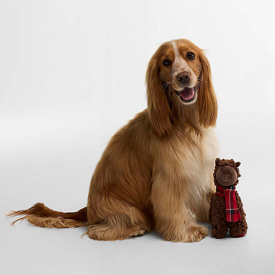 Honden Speeltje Lama Brown 