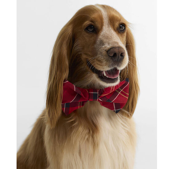 Honden Strik Cardinal Tartan