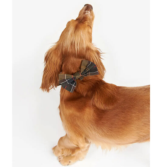 Afbeelding Honden Strik Classic Tartan  2
