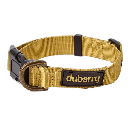 Afbeelding Hondenhalsband Apollo Gold  1 van Dubarry