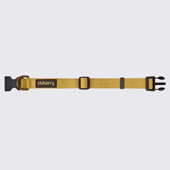 Afbeelding Hondenhalsband Apollo Gold  2 van Dubarry