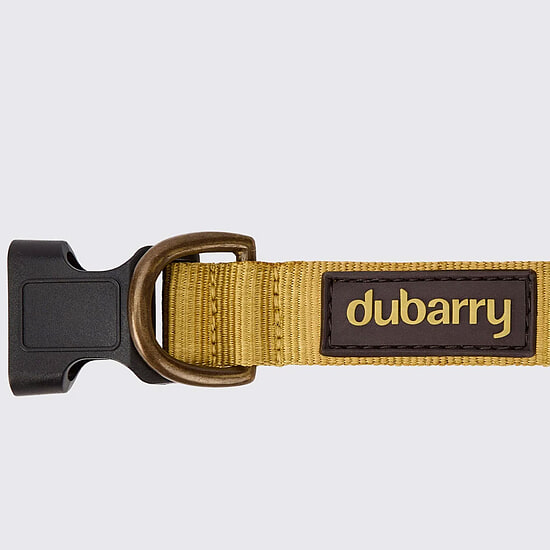 Afbeelding Hondenhalsband Apollo Gold  3 van Dubarry