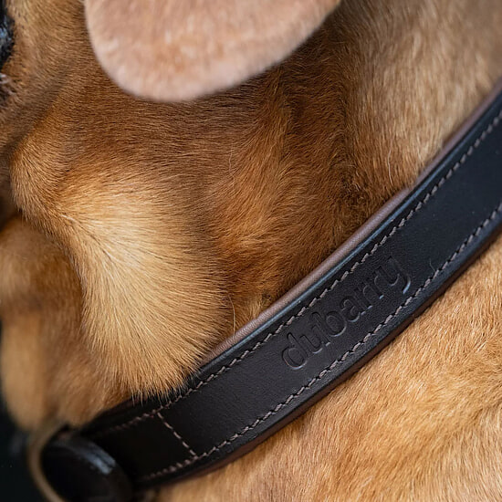 Afbeelding Hondenhalsband Axel Mahogany Leer 2 van Dubarry