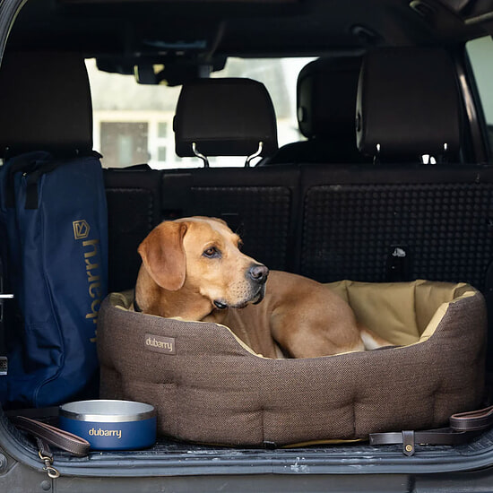 Afbeelding Hondenmand Tweed Buster  2