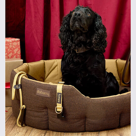 Afbeelding Hondenmand Tweed Buster L 3 van Dubarry