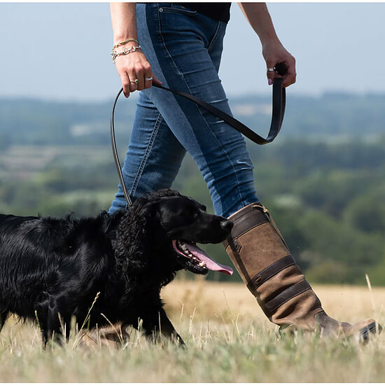 Afbeelding Hondenriem Ranger Mahogany Leer 2 van Dubarry