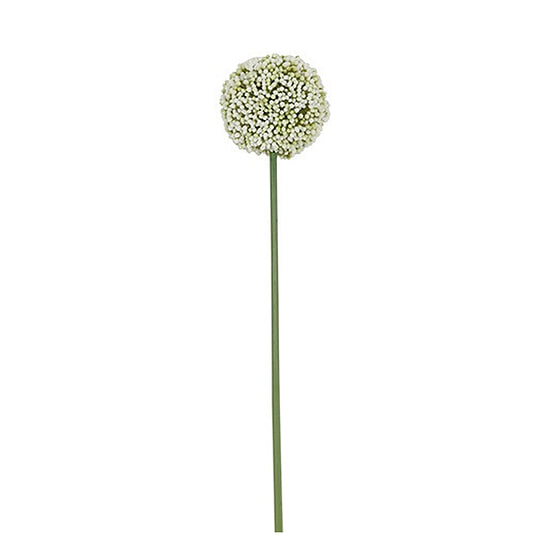 Kunstbloem Allium wit S 1