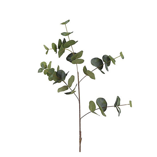 Kunstbloem Eucalyptus Cinerea groen L 1