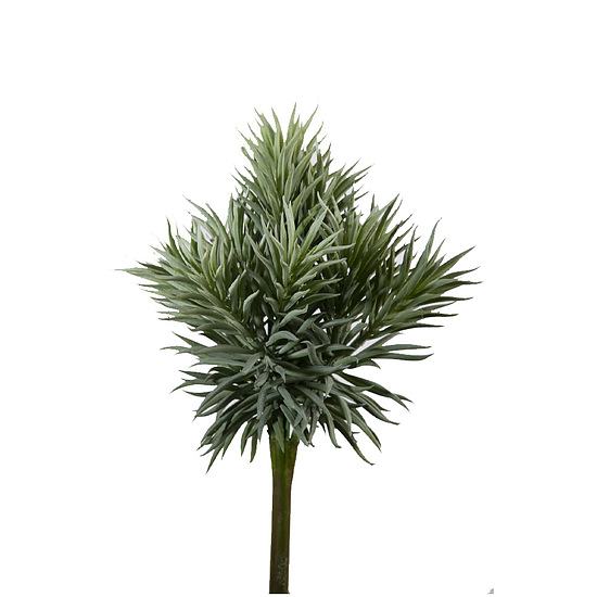Kunstbloem Succulent spiky 32cm 1