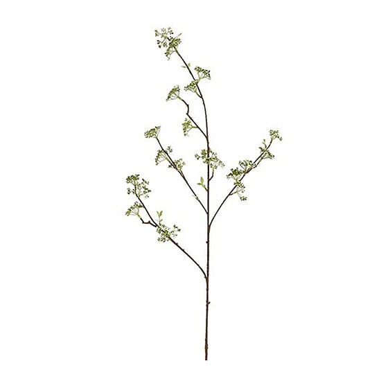 Kuntsbloem Viburnum Wit  1