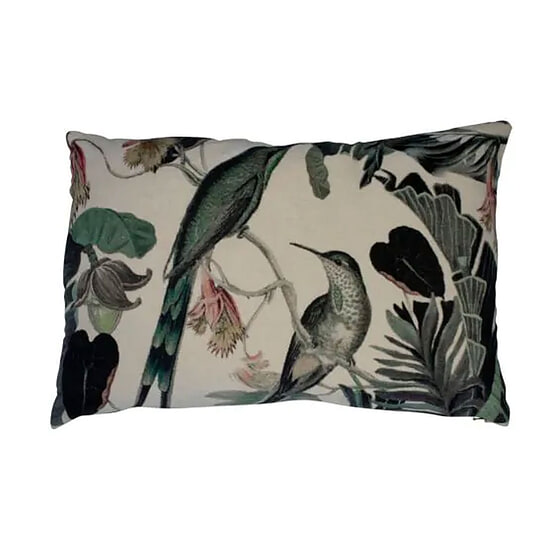 Kussen Fluweel exotisch honing vogel 40x60 1
